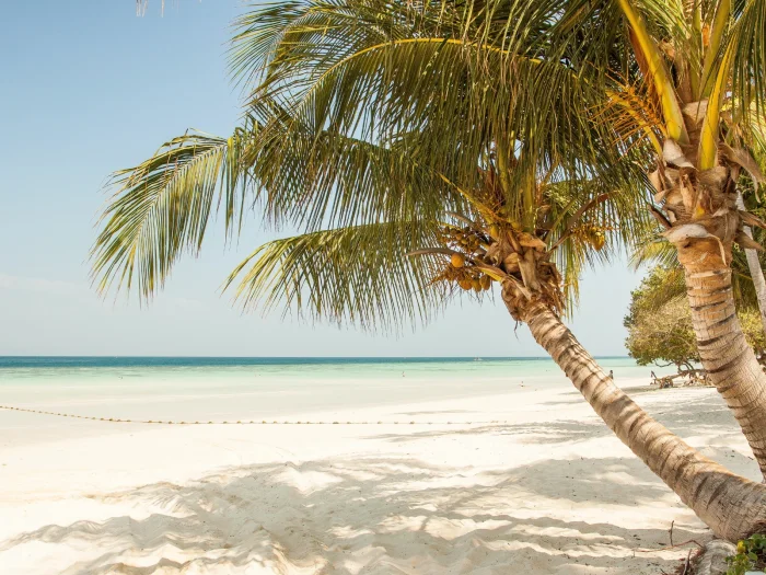 Cartagena and Tierra Bomba Island